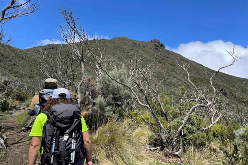 Mount Meru vandring